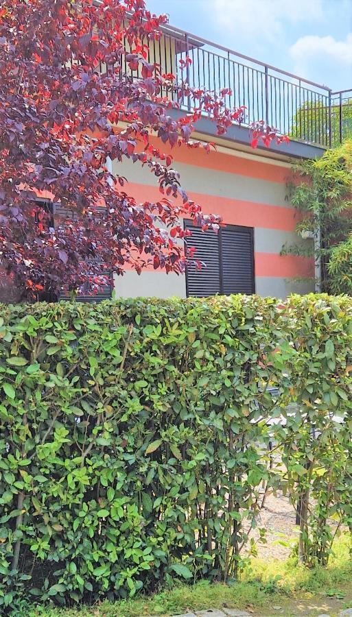 Residenza XX Settembre Daire Maslianico Dış mekan fotoğraf